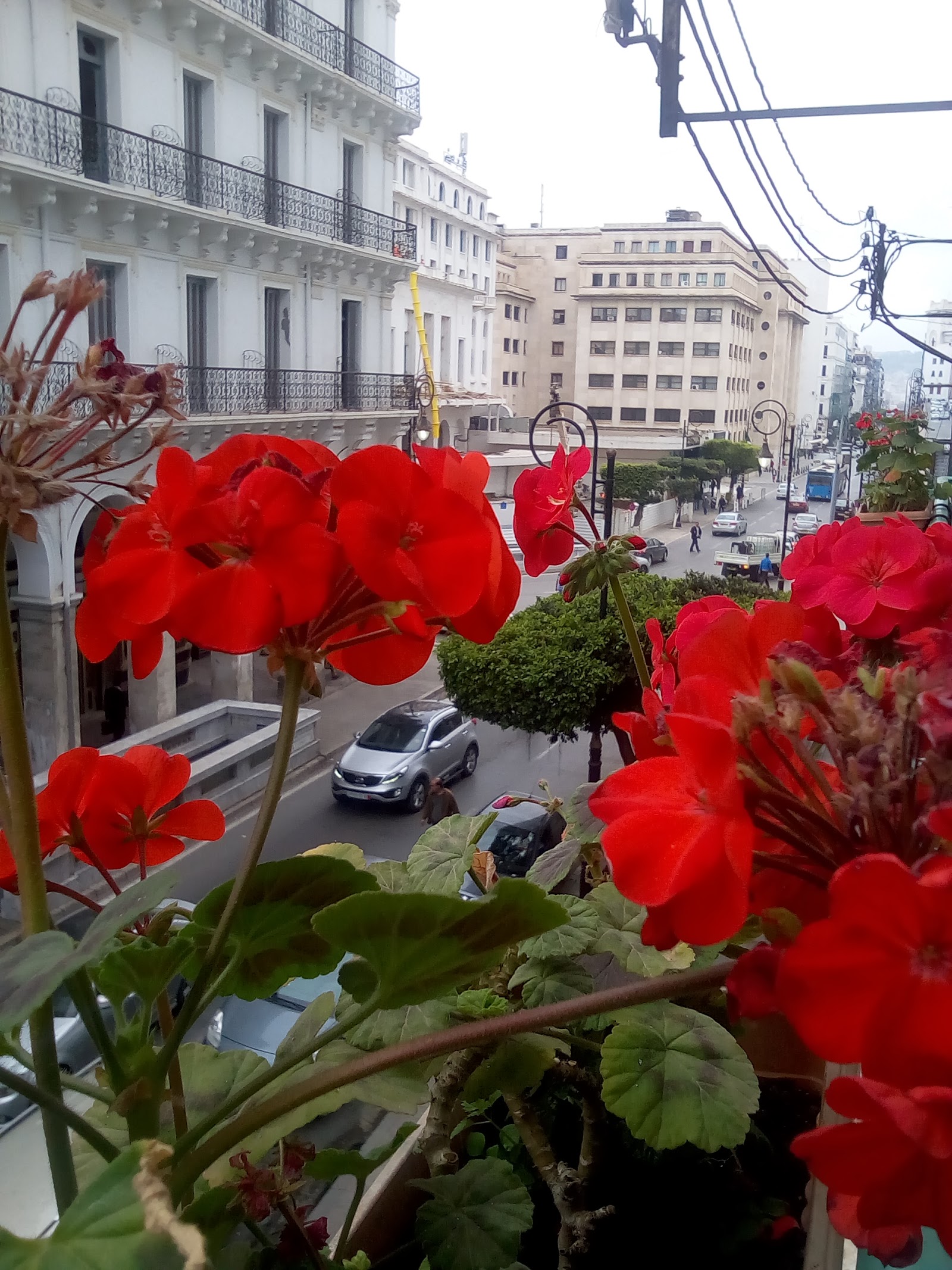 Chambre Double — Sofiane Hotel - Algiers — Alger Centre